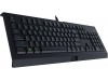 Razer Cynosa Lite - Essential Gaming Keyboard